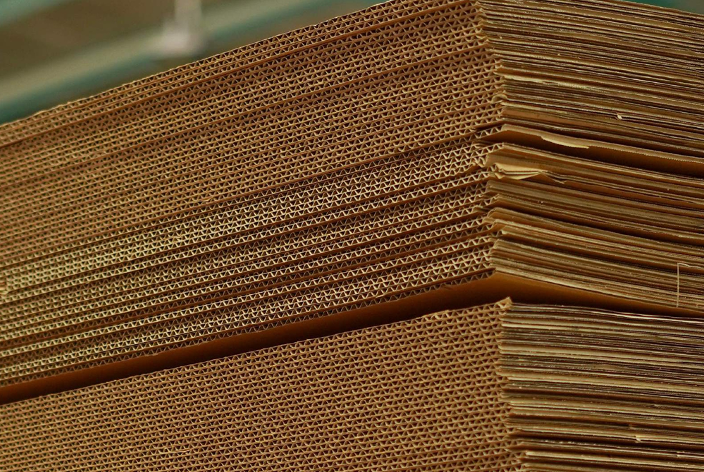 Corrugated Cardboard